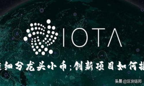 区块链产业链细分龙头小币：创新项目如何撬动市场潜力？