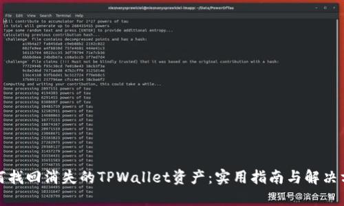 如何找回消失的TPWallet资产：实用指南与解决方案