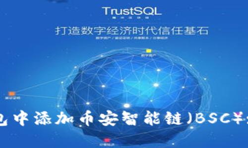 如何在TP钱包中添加币安智能链（BSC）: 一步步指南