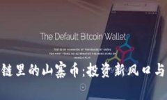 探索区块链里的山寨币：投资新风口与潜在风险