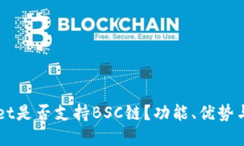 电脑版TPWallet是否支持BSC链？功能、优势与解决方案详解