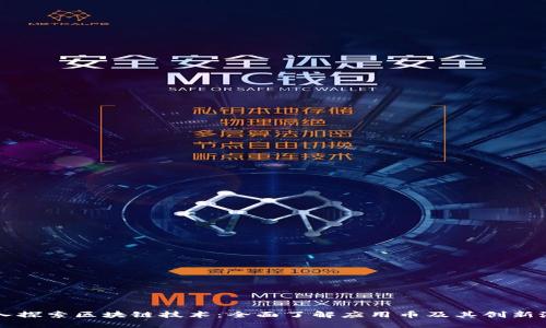 深入探索区块链技术：全面了解应用币及其创新潜力