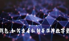 TP观察钱包：如何查看私钥并保障数字资产安全