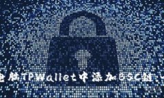 如何在电脑TPWallet中添加BSC链：全面指南