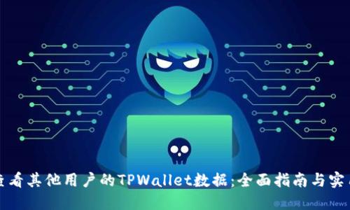 如何查看其他用户的TPWallet数据：全面指南与实用技巧