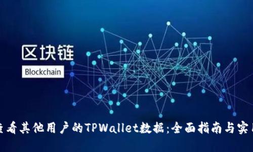 如何查看其他用户的TPWallet数据：全面指南与实用技巧