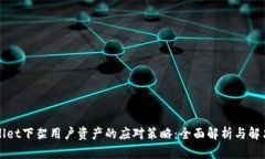 TPWallet下架用户资产的应对策略：全面解析与解决
