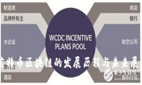 莱特币区块链的发展历程与未来展望