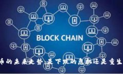 区块链币的未来走势：是下跌的危机还是重生的