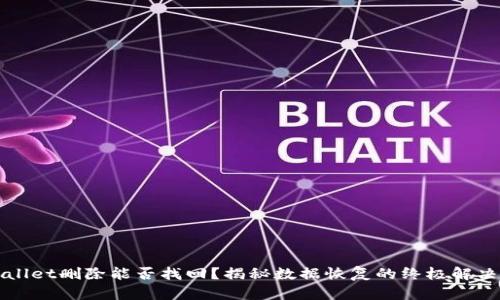 TPWallet删除能否找回？揭秘数据恢复的终极解决方案