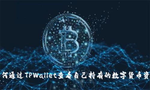 如何通过TPWallet查看自己持有的数字货币资产