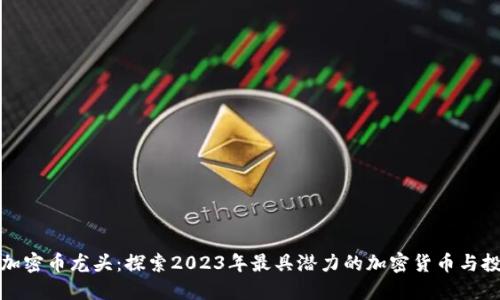 区块链加密币龙头：探索2023年最具潜力的加密货币与投资机会