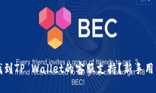 如何快速找到TP Wallet的客服支持？新手用户必看指南