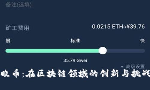 晓币：在区块链领域的创新与挑战
