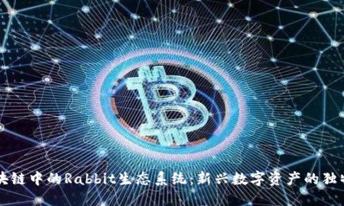 深入探讨火币区块链中的Rabbit生态系统：新兴数字资产的独特卖点与发展潜力