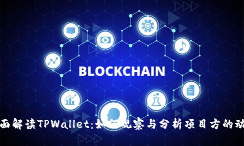 全面解读TPWallet：如何观察与分析项目方的动态