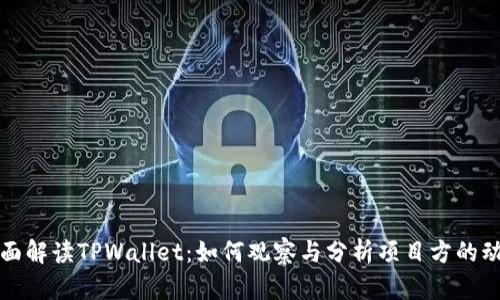全面解读TPWallet：如何观察与分析项目方的动态