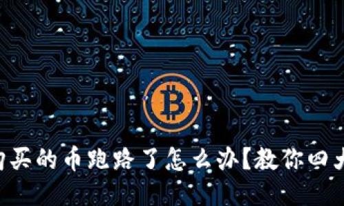 TPWallet购买的币跑路了怎么办？教你四大应对策略！