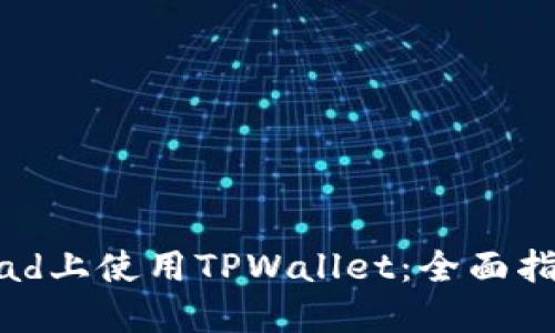 如何在iPad上使用TPWallet：全面指南与技巧