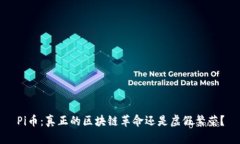 Pi币：真正的区块链革命还是虚假繁荣？