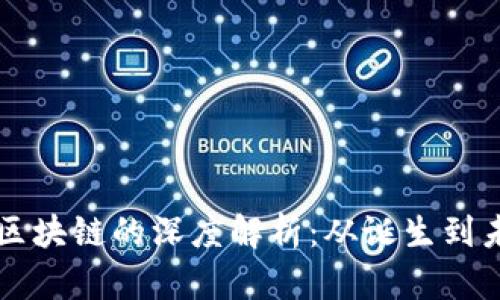 比特币区块链的深度解析：从诞生到未来展望