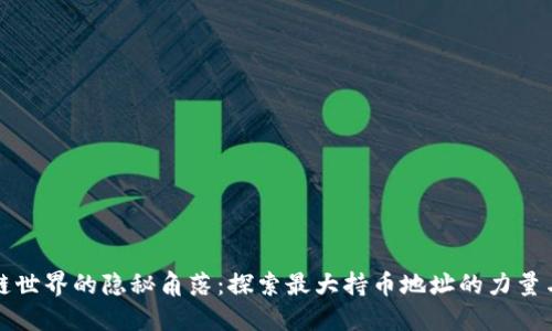 区块链世界的隐秘角落：探索最大持币地址的力量与影响