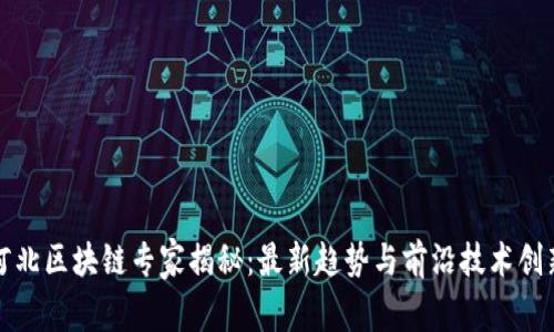 河北区块链专家揭秘：最新趋势与前沿技术创新