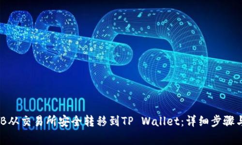 如何将BNB从交易所安全转移到TP Wallet：详细步骤与注意事项