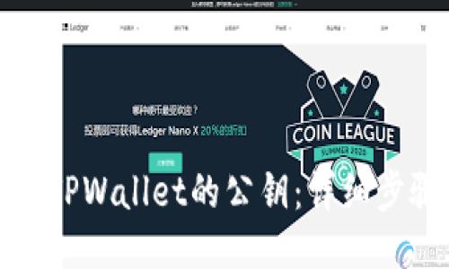 如何找到TPWallet的公钥：详细步骤与技巧