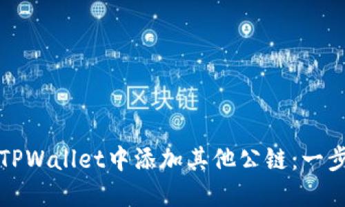 如何在TPWallet中添加其他公链：一步步指南