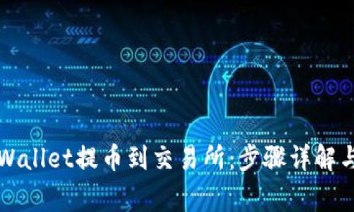 如何从TPWallet提币到交易所：步骤详解与注意事项