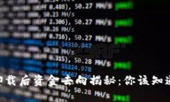 TP Wallet卸载后资金去向揭秘：你该知道的都在这