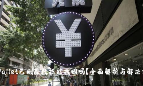 TPWallet已删除数据能找回吗？全面解析与解决方案
