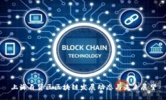 上海自贸区区块链发展动态与未来展望