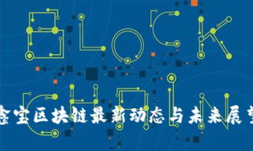 鑫宝区块链最新动态与未来展望
