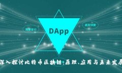 深入探讨比特币区块链：原理、应用与未来发展