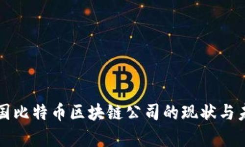 解析中国比特币区块链公司的现状与未来发展