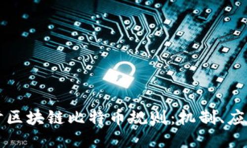 深入探讨区块链比特币规则：机制、应用与未来