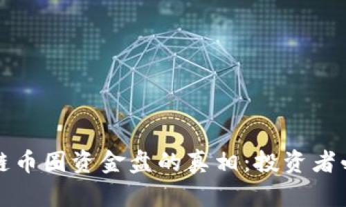 揭开区块链币圈资金盘的真相：投资者必看的指南