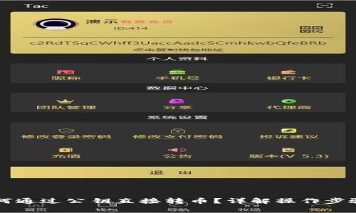 TPWallet如何通过公钥直接转币？详解操作步骤与注意事项