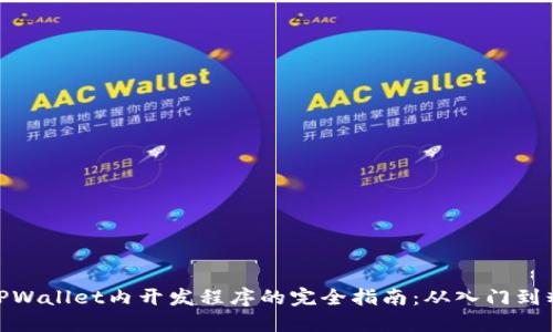 在TPWallet内开发程序的完全指南：从入门到精通