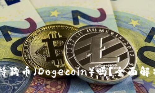 TPWallet支持狗币（Dogecoin）吗？全面解析与使用指南