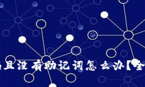 TPWallet忘记密码且没有助记词怎么办？全面指南与解决方案