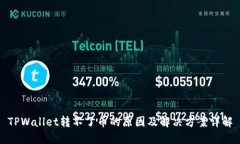 TPWallet转不了币的原因及解决方案详解