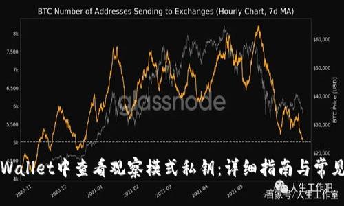 如何在TPWallet中查看观察模式私钥：详细指南与常见问题解答