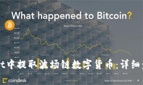 如何在TPWallet中提取波场链数字货币：详细步骤与注意事项