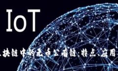 深入探讨区块链中的无币公有链：特点、应用及