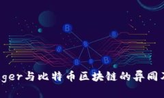全面解析Ledger与比特币区块链的异同及其应用前