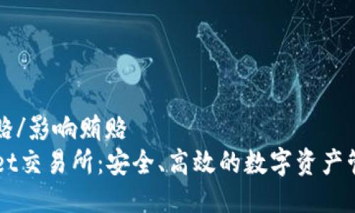 影响贿赂/影响贿赂 
TPWallet交易所：安全、高效的数字资产管理平台