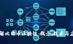 深入了解比特币区块链：概念、技术与应用分析